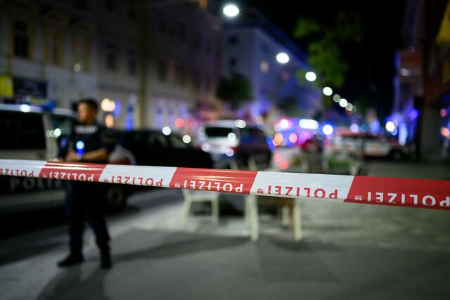 Foto: MAX SLOVENCIK / APA / picturedesk.com 