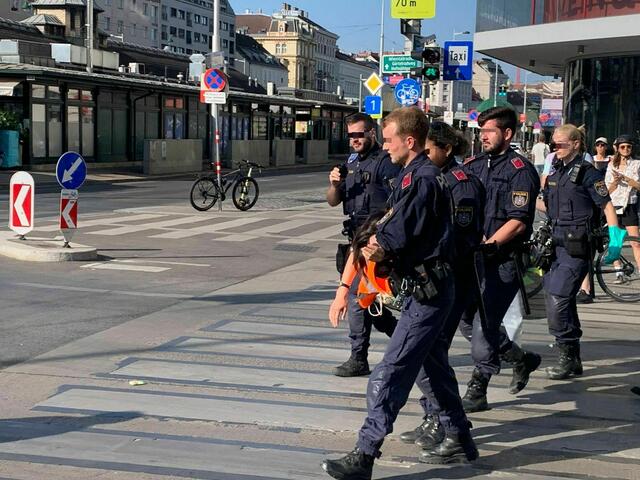 Die Aktionen führten auch zu Festnahmen und Rechtsstreitigkeiten. | Foto: z.V.g.
