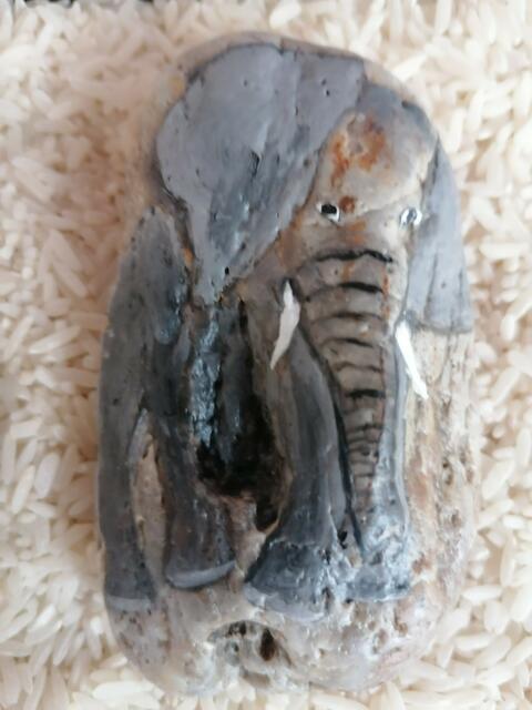 Foto: Maria Roidinger