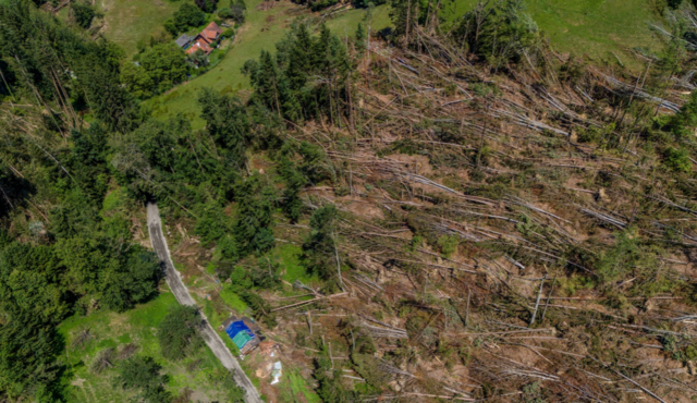Ermöglicht durch eine Drohnenaufnahme: Ein Blick auf den schweren Schaden im Waldgebiet. | Foto: Marktgemeinde Gratkorn
