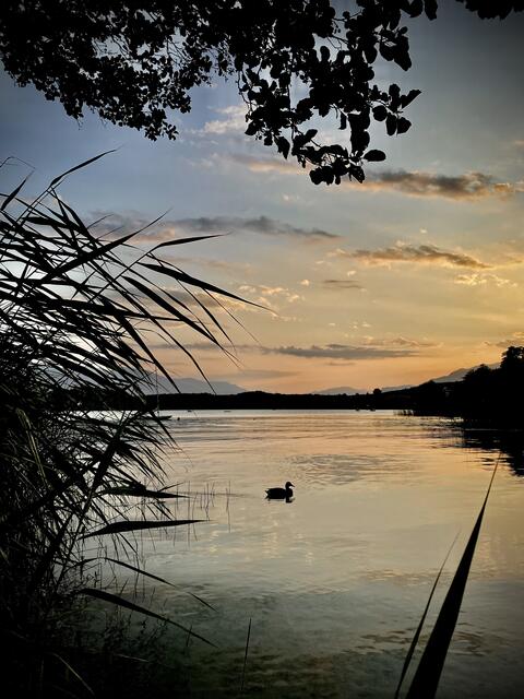 Sandra Richter aus Berndorf: Sonnenuntergang am Faaker See/Kärnten. | Foto: Sandra Richter