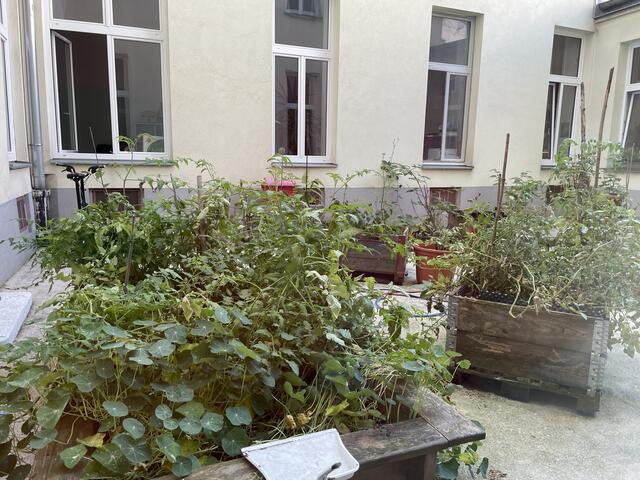 Foto: Tamara Winterthaler/MeinBezirk