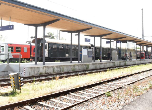 Foto: Herbert Schleich