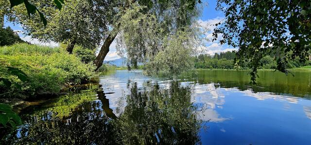 Andrea Zorzi aus Enzesfeld-Lindabrunn: "Die Seele baumeln lassen und Energie tanken am wunderschönen Furtnerteich in der Steiermark in Mariahof. Natur pur." | Foto: Andrea Zorzi