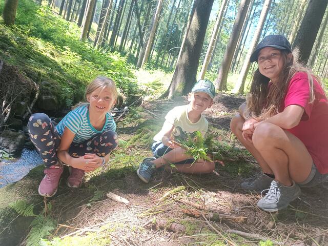 Zusammen spielerisch den Wald erkunden | Foto: Die Bäuerinnen im Gebiet Dobersberg