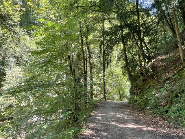 Hier würde man mit der Wanderung durch die Glasenbachklamm starten. | Foto: Emanuel Hasenauer