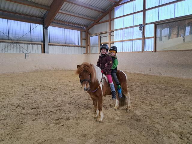 Reiten, Voltigieren, Ponyreiten und Pferde einstellen, das ist am Pferdeheimat Rachkahof möglich.  | Foto: Pferdeheimat Raschkahof