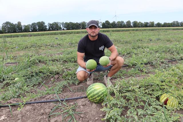 Lukas Windholz betreibt heuer den achten Sommer sein Melonenfeld am Brucker Stadtrand.  | Foto: Christina Michalka