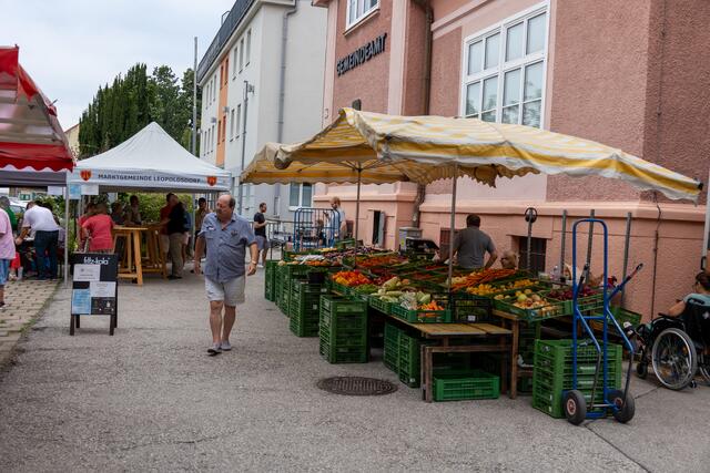 Foto: www.cine-motion.at / Ivanek