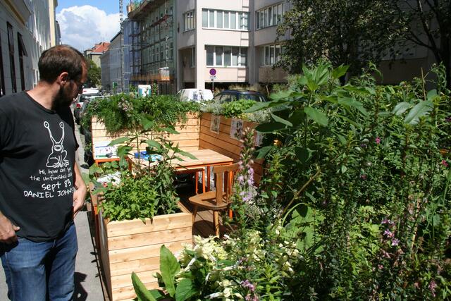 Ein Vorzeige-Parklet in der Mandlgasse. Hier wird auch erklärt, welche Pflanzen hier wachsen. | Foto: Karl Pufler/MeinBezirk