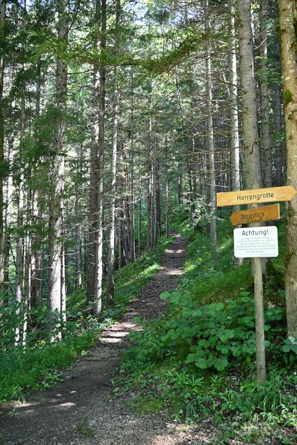 Fotos von meiner Wanderung Richtung Herrengrotte zeige ich noch extra