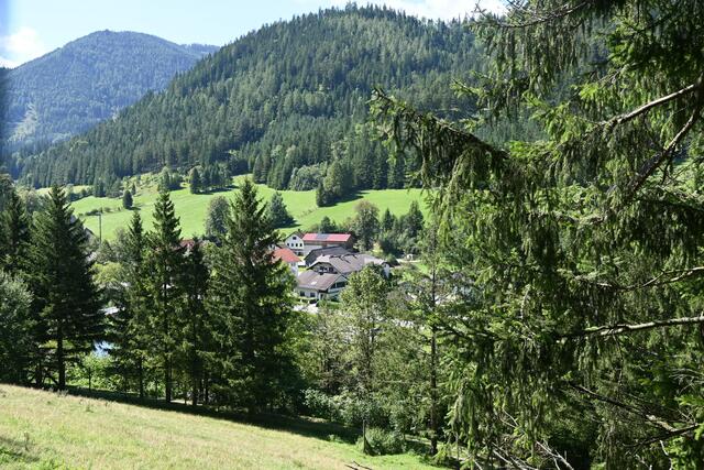 Blick auf den Ort Schwarzau