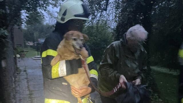 Die Pensionistin und ihr Hund wurden in Sicherheit gebracht.  | Foto: FF Feistritz/Drau
