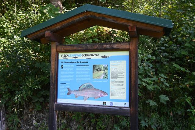 Fischlehrpfad