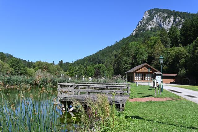 Fischteich
