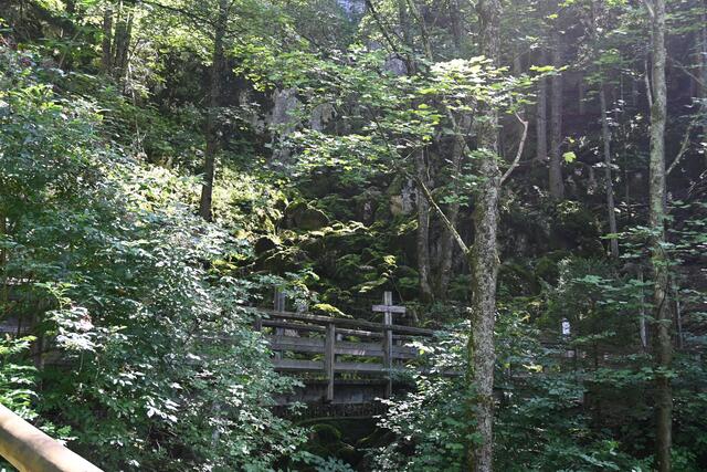 Brücke über Bach am Rand des Gamsgeheges 