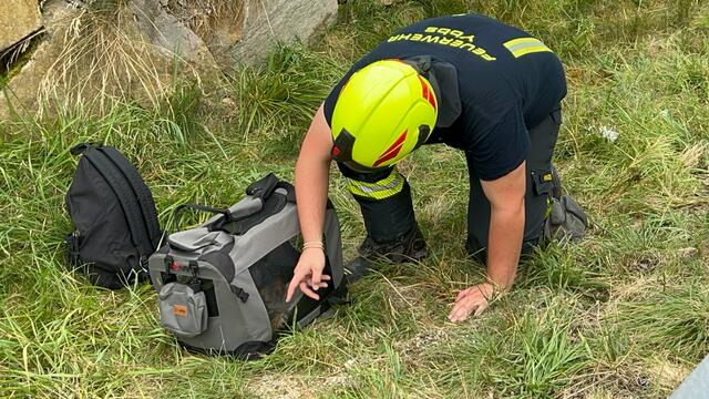 Auch ein kleiner Hund, der mit im Fahrzeug war, wurde von der Feuerwehr betreut.