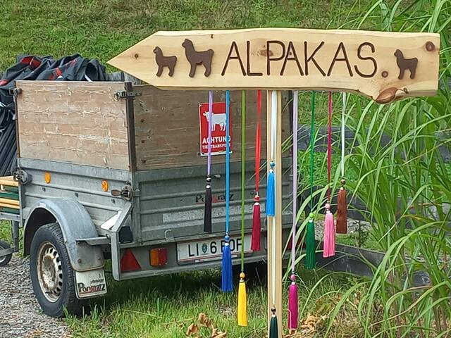 Foto: Alpaka Impuls, Karl Stangl, Lore Fluch