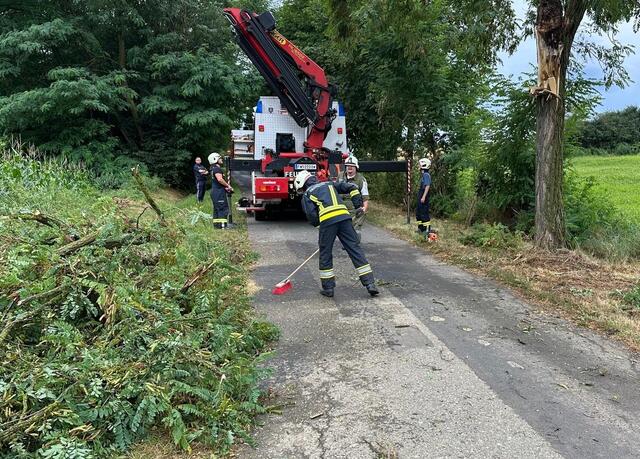 Umgestürzte Bäume gab es zu beseitigen. | Foto: Stadtfeuerwehr Oberwart