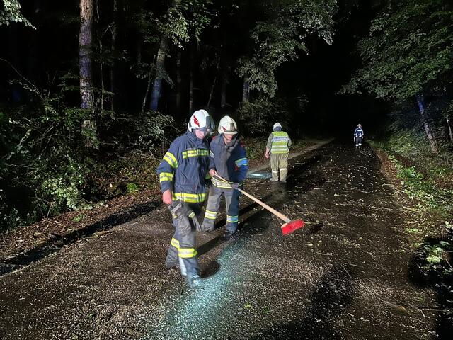 Straßensäuberungen zählten ebenso zu den Einsatzaufgaben. | Foto: Stadtfeuerwehr Oberwart