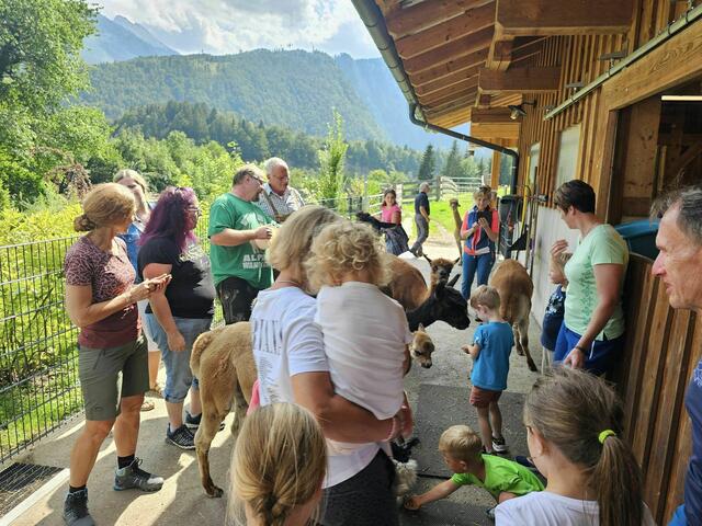 Foto: Alpaka Impuls, Karl Stangl, Lore Fluch