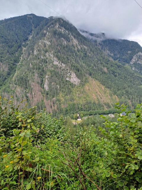 Foto: Alpaka Impuls, Karl Stangl, Lore Fluch