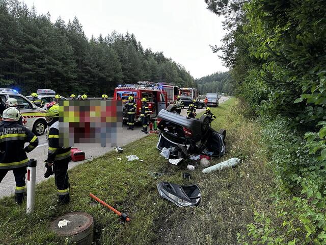 Die Familie wurde ins Krankenhaus gebracht.  | Foto: FF St.Peter/Spittal