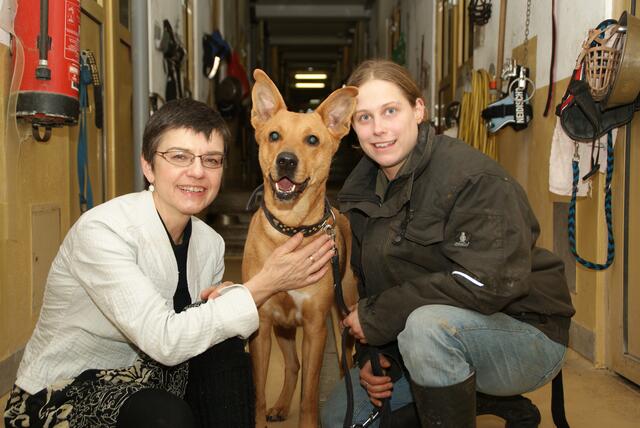 Ein Herz für Tiere: 2008 übernahm Petrovic die Präsidentschaft des Wiener Tierschutzvereins und die Leitung des Tierschutzhauses in Vösendorf. | Foto: Wiener Bezirkszeitung
