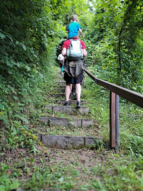 Foto: Alpaka Impuls, Karl Stangl, Lore Fluch