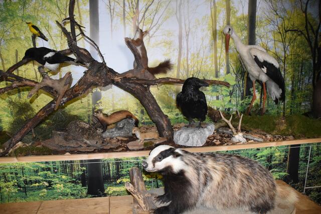 Foto: Michael Strini