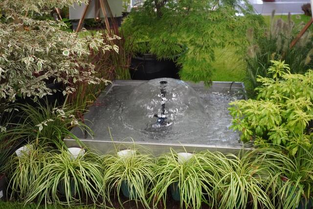 Foto: Michael Strini