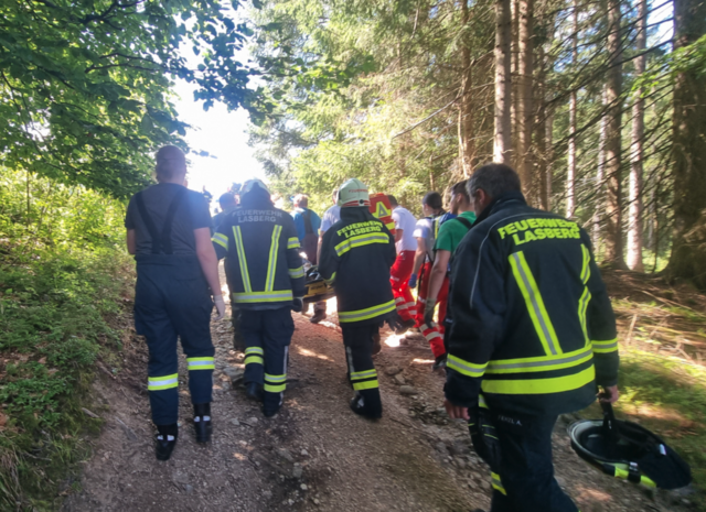 Foto: Freiwillige Feuerwehr Lasberg