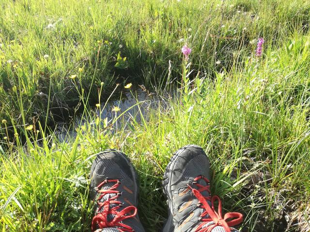 Symbolbild: der Marsch bereitete viel Spaß. | Foto: Himmelbauer/ Dekanat Schörfling