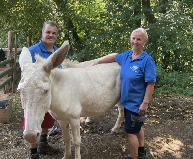 Josef und Marta Sprengnagel mit ihrer Zuchtstute Csilli. | Foto: Bettina Korotvicka