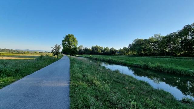 95 Prozent der Fläche an der Krems, die nun renaturiert wird, befindet sich in der Gemeinde Kematen an der Krems. | Foto: Gemeinde Kematen