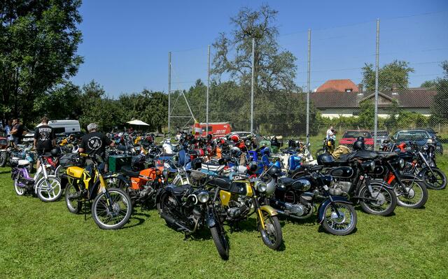 Foto: Gerhard Pulsinger