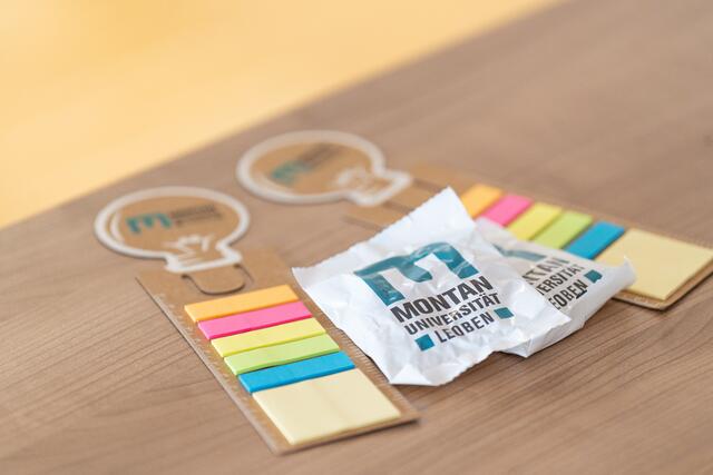 Foto: Harald Tauderer