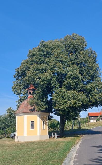 Dreifaltigkeitskapelle am Csaterberg 