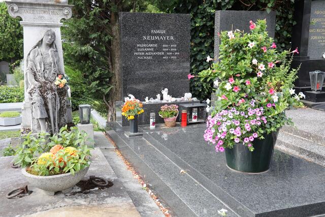 Das Grab von Peter Alexander, bürgerlich Neumayer, und seinen verstorbenen Angehörigen am Grinzinger Friedhof. | Foto:  Karl Schöndorfer / picturedesk.com