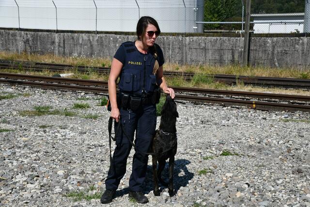 Foto: Ganglberger Herbert