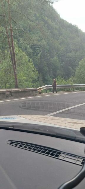 Foto: Pothole Rodeo 2024 - Balkan
