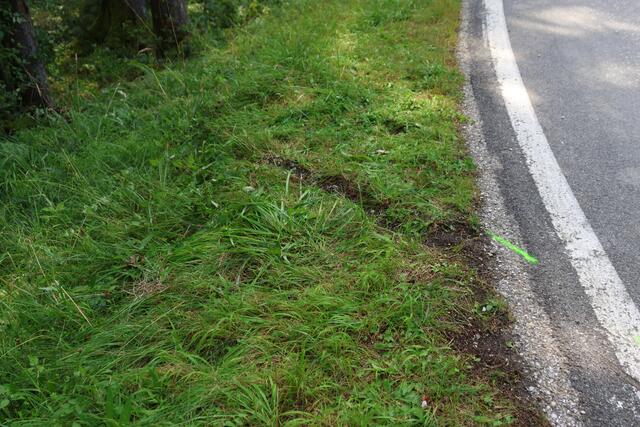 Foto: laumat.at/Matthias Lauber