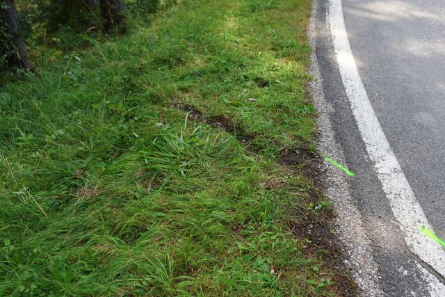 Foto: laumat.at/Matthias Lauber