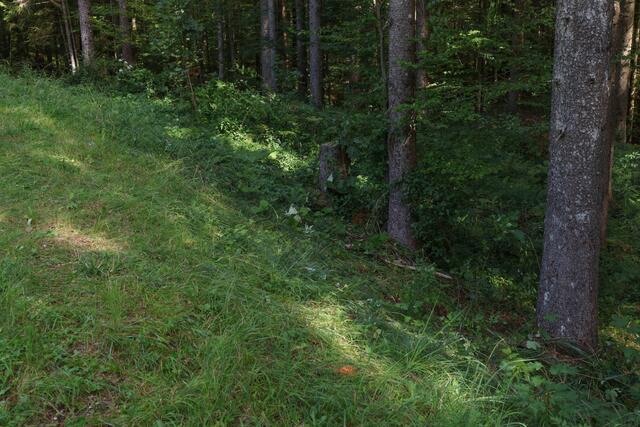 Foto: laumat.at/Matthias Lauber