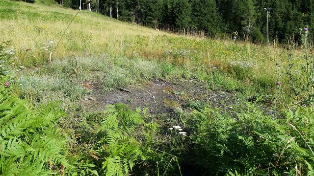 Alles aufgeräumt! | Foto: Tiroler Bergwacht - Einsatzstelle Stubai