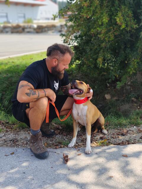 Georg Resch stuft "Xena" aus Tillmitsch, die kürzlich eine Joggerin schwer verletzte, als nicht gefährlich ein. | Foto: rg-dogs