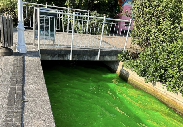 Bislang unbekannte Täter haben den "Pörtschacher Mühlbach" verunreinigt. | Foto: LPD Kärnten