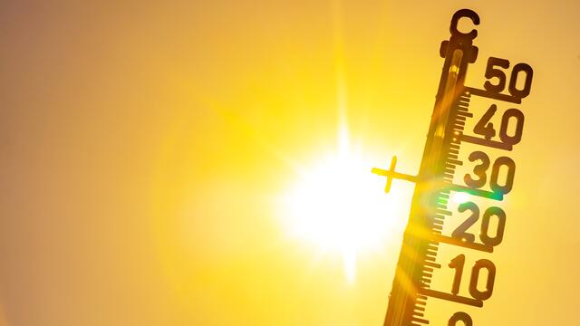 Wenn die Temperaturen steigen, kämpfen sich viele regelrecht durch den heißen Alltag. | Foto: stock.adobe.com/at/Corri Seizinger
