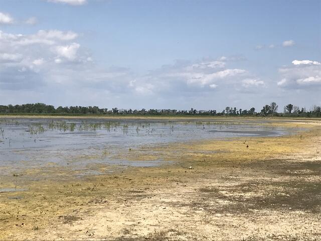 Der sogenannte "Wasserwirtschaftlicher Versuch" soll voraussichtlich bis Juni 2026 laufen. | Foto: Beate Wurm