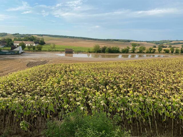 Foto: Stefan Obritzhauser